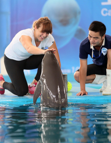 队教练组卓 队教练组卓